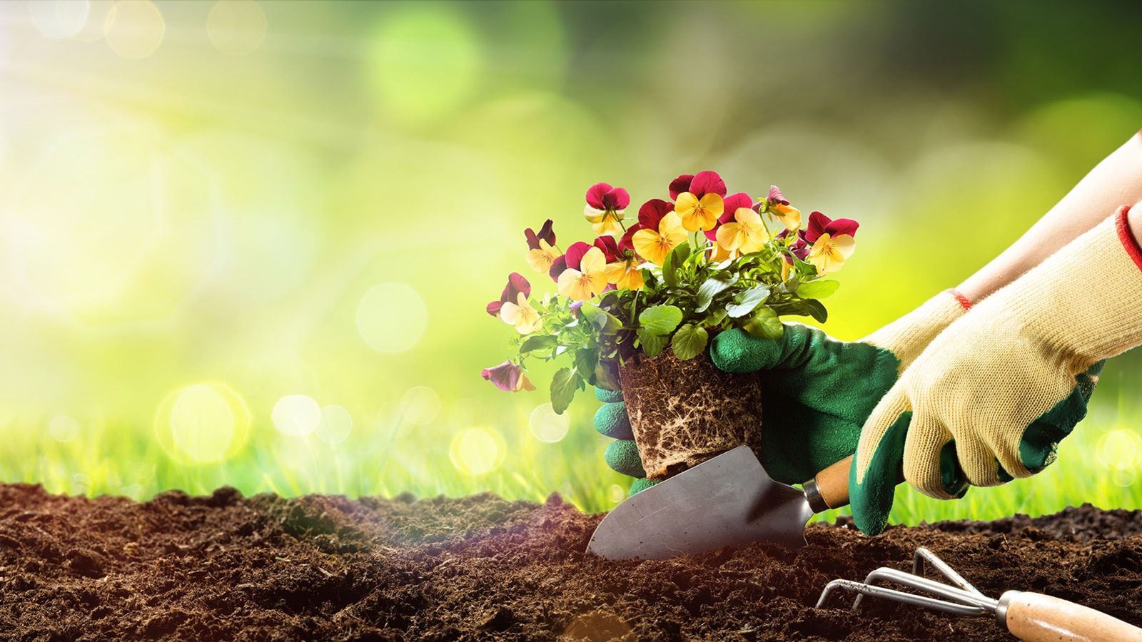 ابزار باغبانی چیست و چه کاربردهایی دارد + انواع ابزارهای باغبانی برند برگر